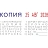 Датер мини Colop S120/WD (12 бухгалтерских терминов, 3.8 мм) Фото 1