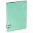 Папка с 20 вкладышами Berlingo "Instinct" А4, 17мм, 700мкм, с внутр. карманом, мятный