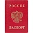 Обложка для паспорта ДПС из ПВХ красного цвета (2203.В-102)