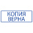 Штамп стандартный "КОПИЯ ВЕРНА" В РАМКЕ, оттиск 38х14 мм, синий, TRODAT IDEAL 4911 DB-3.45, 161491 Фото 4