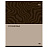 Тетрадь предметная 48л. BG "Single colour" - Русский язык, эконом