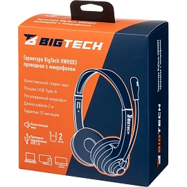 Гарнитура проводная BigTech HWH003 (302012003295588)