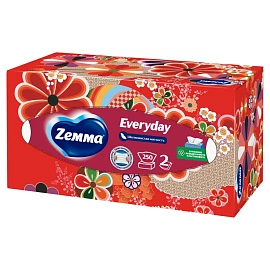 Салфетки косметические Zewa Everyday 2-слойные (250 штук в упаковке)