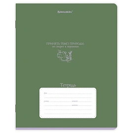 Тетрадь 18 л. BRAUBERG клетка, обложка картон, PHRASES, 107784