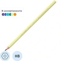 Карандаш чернографитный пластиковый HB BIC Evolution Pastel заточенный шестигранный