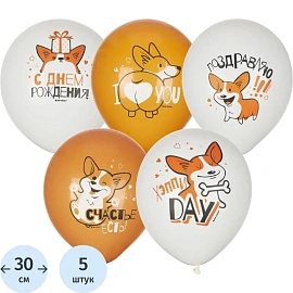 Набор шаров воздушных Патибум White&Orange Корги 30 см (5 штук в упаковке)