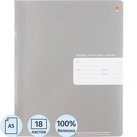 Тетрадь школьная серая Альт Platinum А5 18 листов в клетку с картонной обложкой