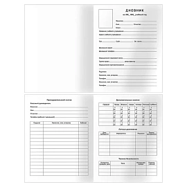 Дневник 1-4 кл., 48л., (твердый) BG "Гонки", глянцевая ламинация