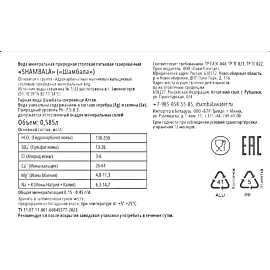 Вода минеральная Шамбала Горная столовая газированная 0.585 л