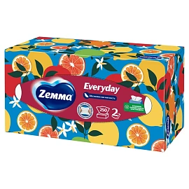 Салфетки косметические Zewa Everyday 2-слойные (250 штук в упаковке)