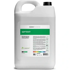 Дезинфицирующее средство (антисептик) Vortex Septovit 5 л