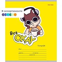 Тетрадь школьная Проф-пресс Всё окей А5 18 листов в клетку
