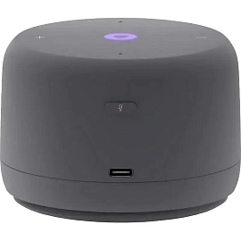 Умная колонка Яндекс Станция Лайт 2 серая (YNDX-00026GRY)