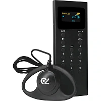 Аудиогид Radiosync AG-300 (2262)